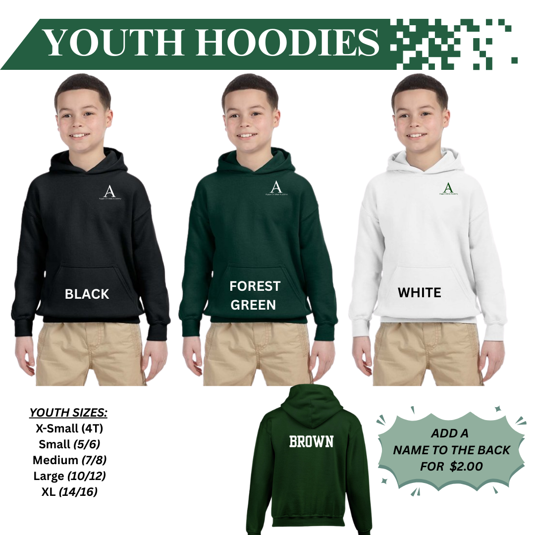 AGAPE YOUTH 50/50 BLEND HOODIES