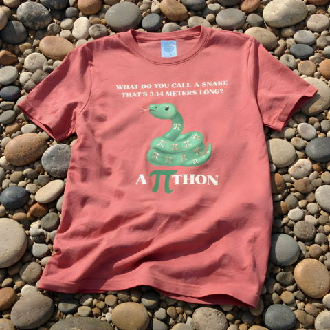 Pi Day Python Shirt