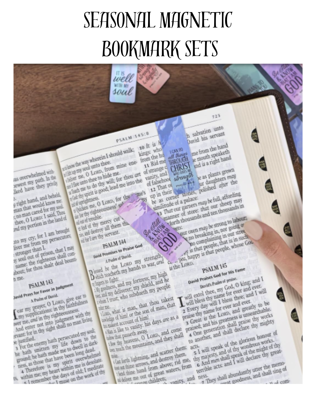 Seasonal Magnetic Bookmark Sets