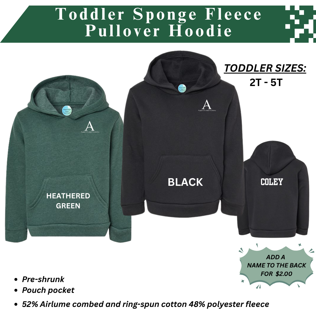 AGAPE TODDLER SPONGE FLEECE HOODIE