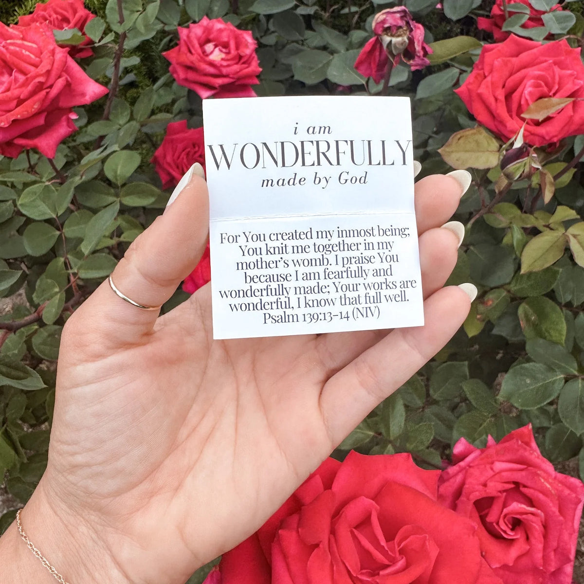 I AM Scripture Affirmation Jar – Our Identity | ANOINTED LA