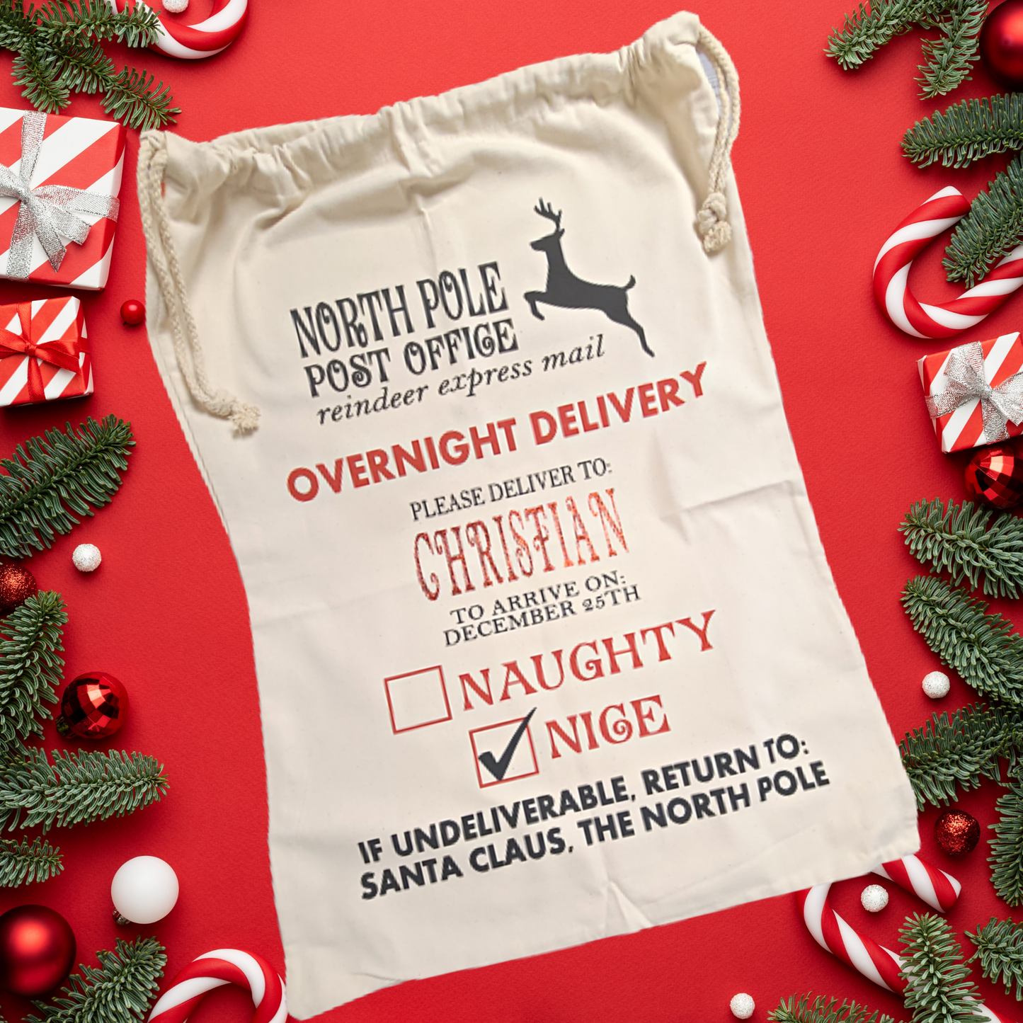 Personalized Santa Sacks